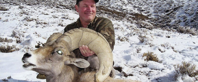 Guided Bighorn Sheep Hunting in Northern Nevada