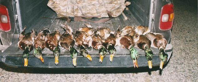 Guided Waterfowl Hunting in Northern Nevada